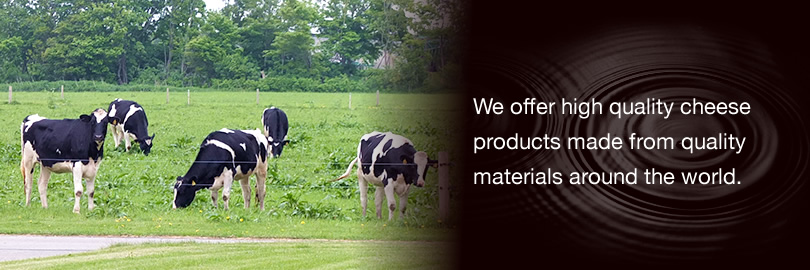 We offer high quality cheese products made from quality materials around the world.